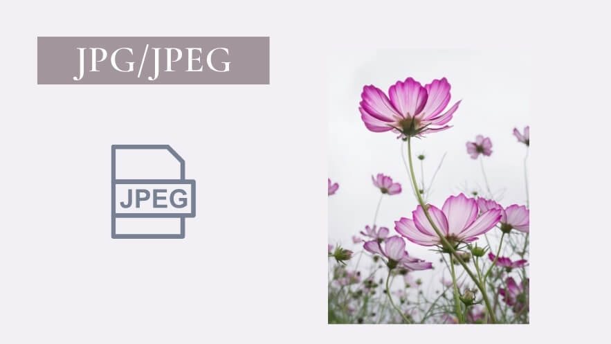 JPG